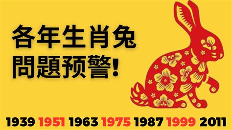 兔年運程|2025 肖兔流年運程 